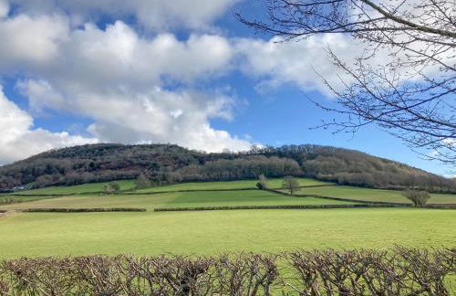 Swallow Lodge - Uk42540 - Photo 15