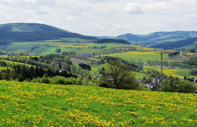 Chic Holiday Home in Medebach Germany near Ski Area - Foto 29