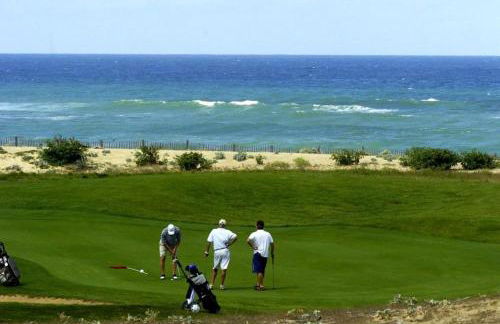 les resiniers - Foto 16