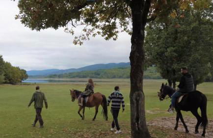 Margarita's House - Photo 44