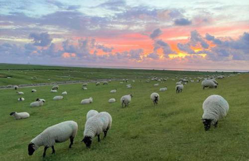Hafenglück Friedrichskoog - Foto 20