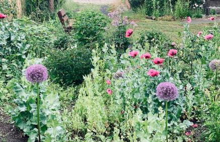 Urlaubsidylle Friedrichswalde - Foto 35