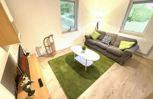 Natur-Apartment am Großen Arber Netflix WIFI - Foto 71