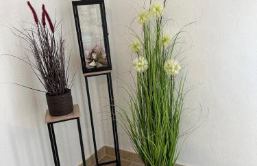 Villa Manuela - Photo 17