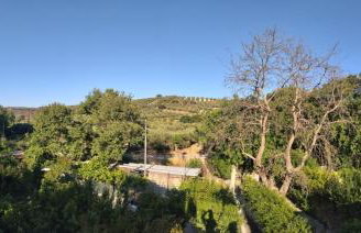 Kitharida garden - Foto 13