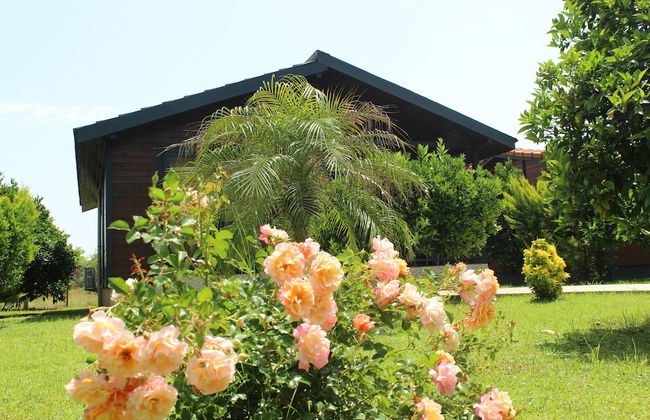 Cirali Villas Hotel Pansiyon - Foto 1