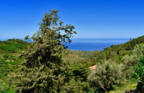House in Εndless green - Arethousa, Ikaria - Photo 55