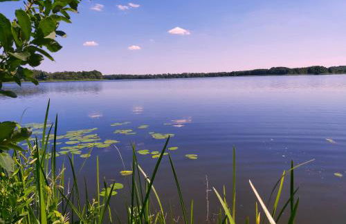 Landhaus Dobbin - Foto 22