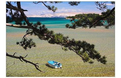 Apartman Belisima Deluxe - Foto 36