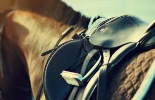 Torch Lake Blue 4BDR Beachfront House ➠ 2364 - Foto 10