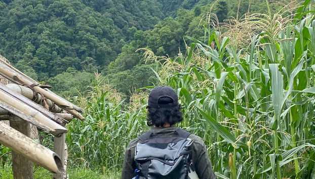 Senderismo por el Lago Phewa