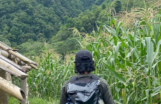 Senderismo por el Lago Phewa - Foto 5