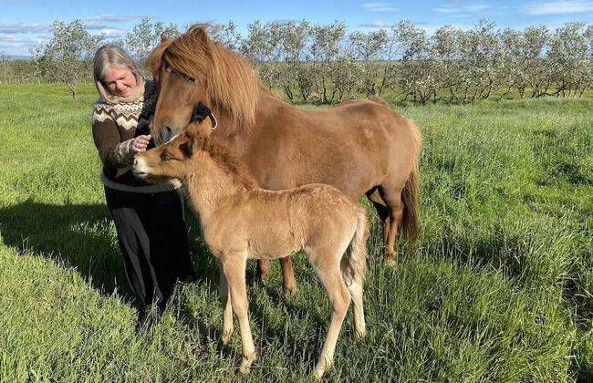 Askot Cottages - Foto 14