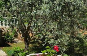 Apartments Seka - Foto 18