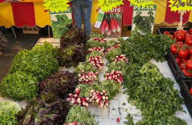 La Terre du Midi à Sérignan - Foto 35