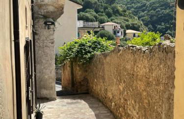 Cozy Studio - Foto 2