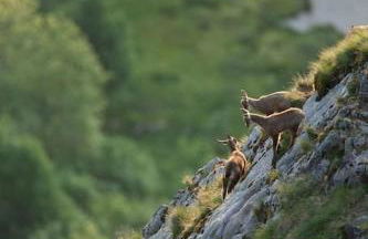 Charmant logis Gérardmer - Photo 31