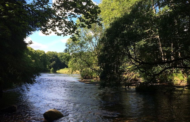 Netherton Farm Lodge - Foto 39
