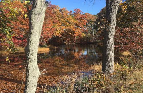 Top Deck Portland Property with Views - Photo 39
