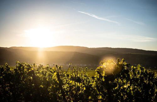 Haus Sybille - Foto 43