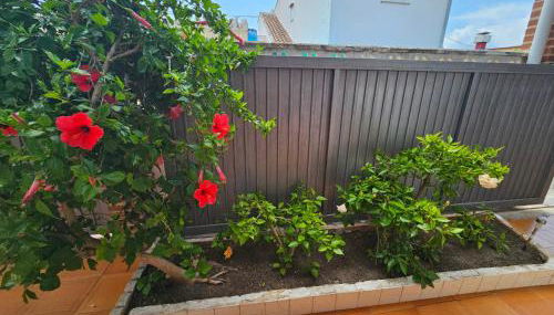 Casa de playa en Oliva al lado del MET y Campo de Golf - Photo 3, Garden