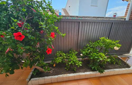 Casa de playa en Oliva al lado del MET y Campo de Golf - Photo 3