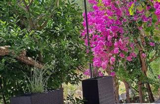 Apartment Kyra with terrace and garden - Foto 22