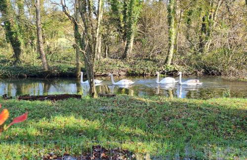 Till Cottage and Riverside Gardens nr Stonehenge - Foto 3