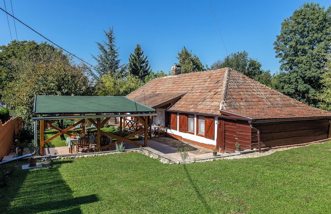 The Bird of Happiness-heaven for Dogs - Foto 1