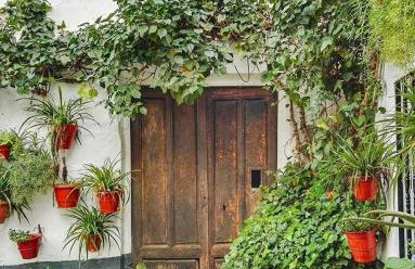 Casa Lara - Sierra de Cazorla - Photo 2