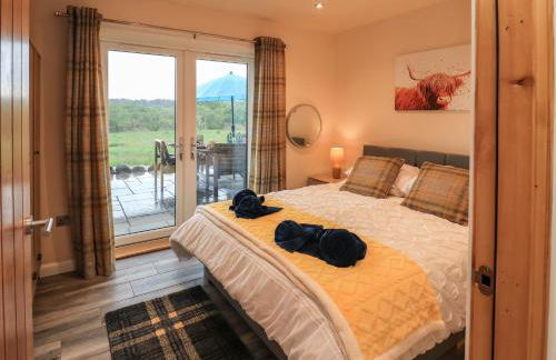 Pine Marten - Foto 15