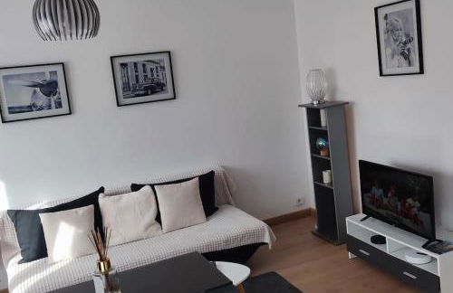 Quartier des emailleurs-T4 avec balcon et garage - Foto 6