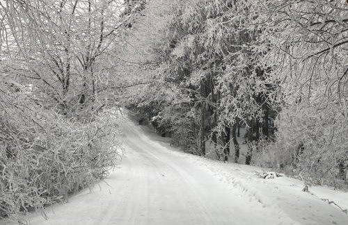 Domki pod Kamionna - Photo 48