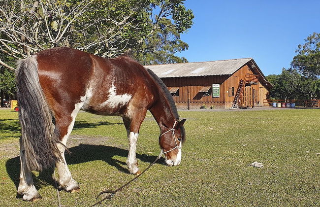 Hotel Acqua Lokos - Foto 36