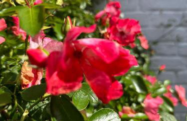 Gorgeous Cottage in Skirmett with Parking - Foto 22