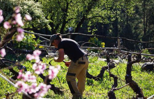 Panorama Suite El Mirador - Foto 35