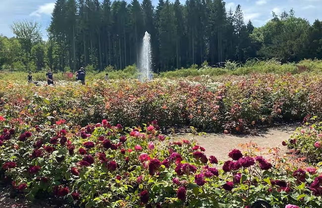 Idyllic Cottage Sleeps 4 pet Friendly - Foto 25