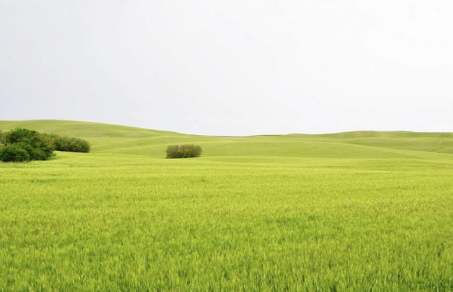 Splendid Holiday Home in Orciatico with Hot Tub & Pool - Foto 40