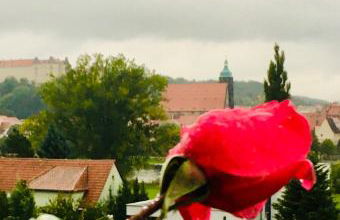 Ferienwohnung Pirna-Panorama - Photo 14