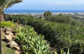 El Cortijo - Photo 18