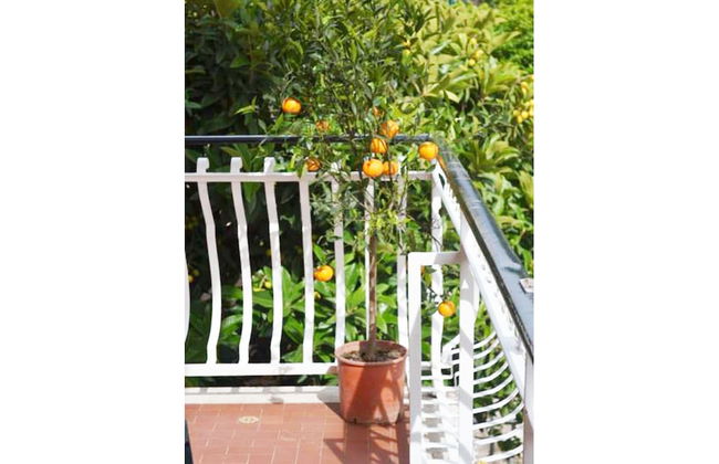 Casa Celeste - Photo 46