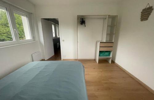 Magnifique Logement f2 Vosges La vôge-les-bains - Foto 8