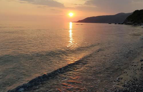 Petra Marina Aurora - Foto 30