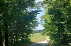 Kuća za odmor ,Erdelj 21 B - Foto 50