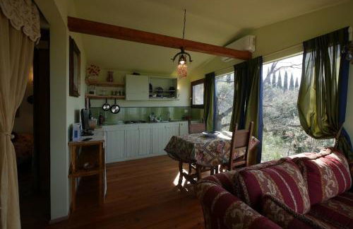 Deliziosa casa sull albero a 30 minuti da Roma - Foto 6