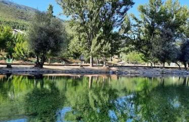 Lugar da Borralheira - Foto 32