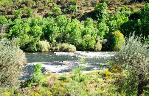 Casa Oliveiras do Douro - Foto 27