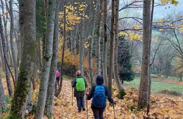 Gîte Le Hangar 67 à Saulxures-sur-Moselotte - Location atypique proche lac - Foto 29