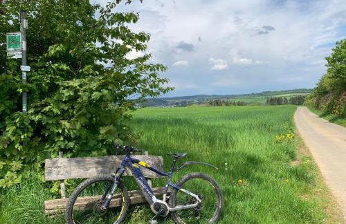 Ritterstube - Eifelstuben mit Charme, Nähe See und Burg, außergewöhnlich, Vulkaneifel - Photo 68