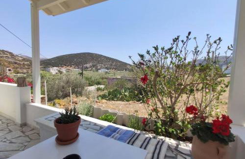 Village View House - Foto 41